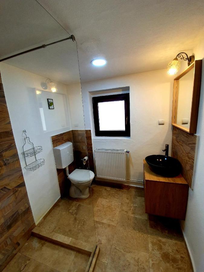 Maximus Apartments Сигишоара Экстерьер фото